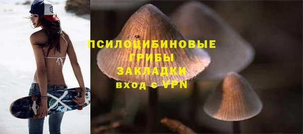 первитин Надым