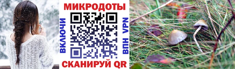 Псилоцибиновые грибы мицелий  Купить где  Новодвинск 